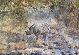 Rhinocéros de la Namibie - Namibian Rhinoceros