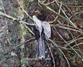Anhinga - Anhinga